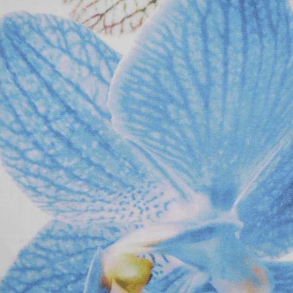 Шовк молочний з синьо-чорну великою квіткою в центрі ш.137