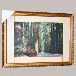 Картина гобелен под стеклом 58х78см (гобелен 36х54) дорога через лес
