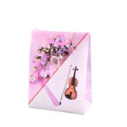 Пакет подарунковий 16х12х6 см з букетом і скрипкою рожевий