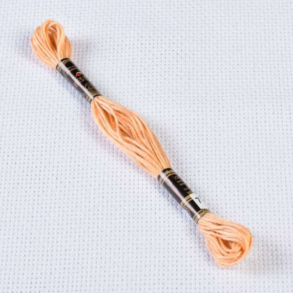 Мулине Bestex 738 8м, Желто-коричневый, очень светлый