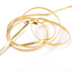 Тесьма кожаная лакированная 5мм золотистая