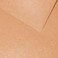 Фетр лист бежевый светлый (0,9мм) 21х30см